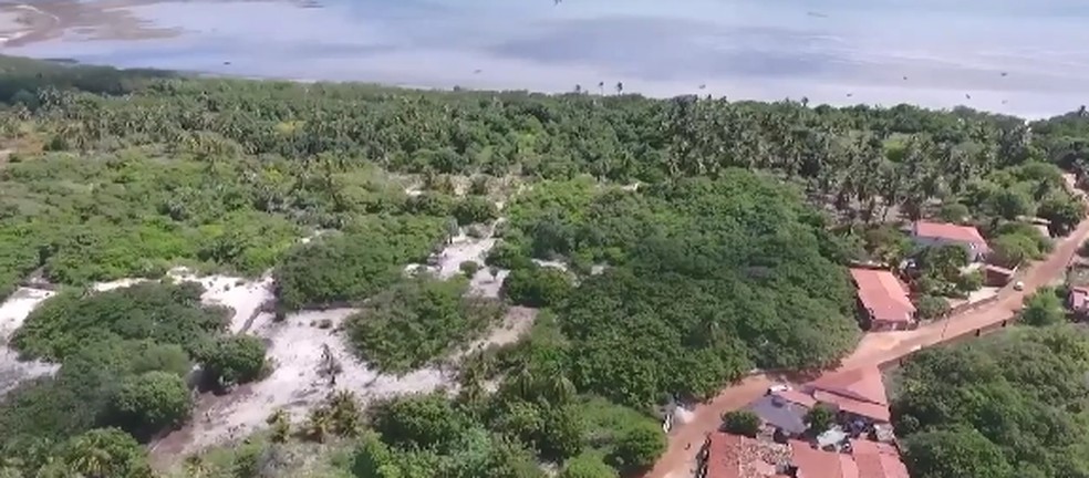 Empresário é condenado por grilagem de terras no litoral do Piauí — Foto: TV Clube