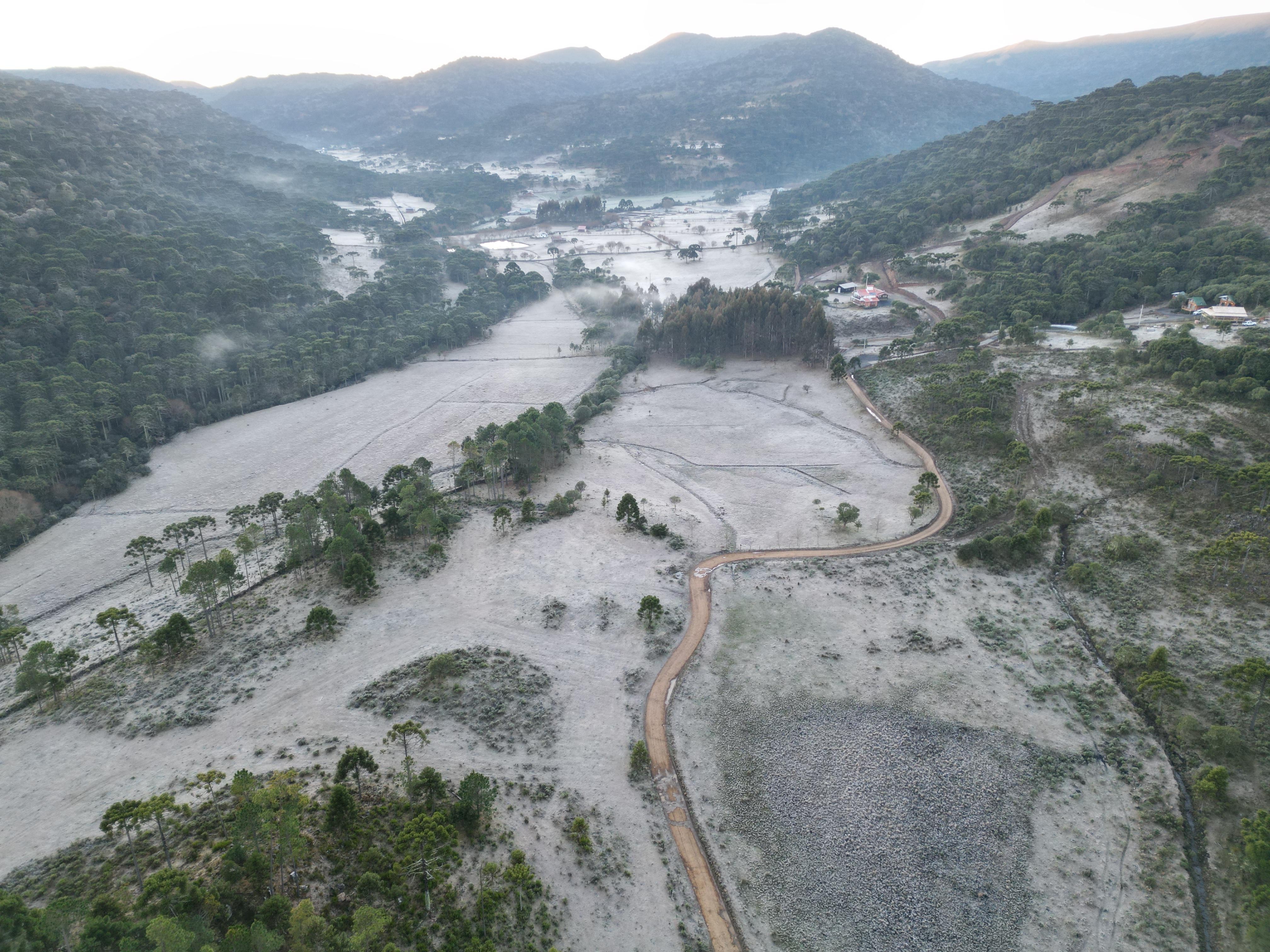 SC tem mínima de -2ºC e mudança na paisagem após formação de geada; VÍDEO 