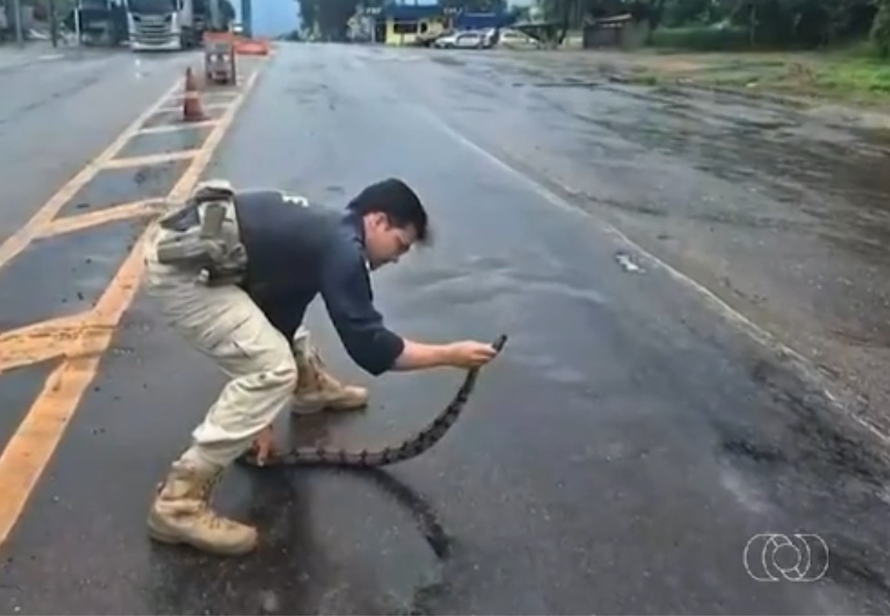 Você Não Tá Convidada pro Meu Bat Mitzvá!
