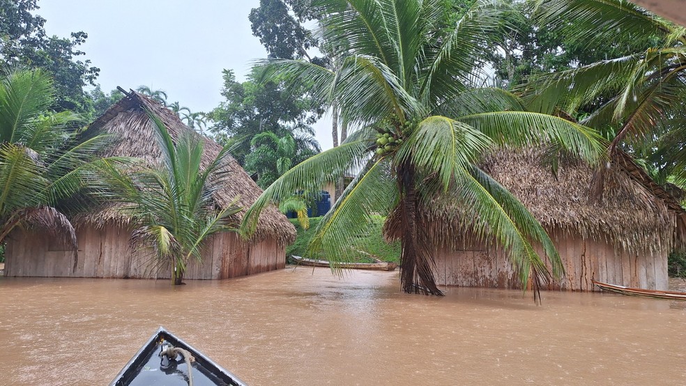 Ind&iacute;genas est&atilde;o buscando locais mais altos para se abrigar, segundo coordenador do DSEI &mdash; Foto: Bianca&nbsp;Piy&atilde;ko/ Arquivo pessoal