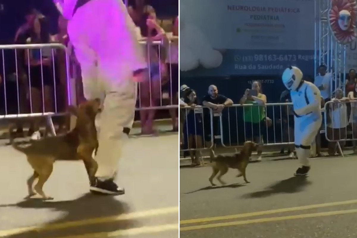 Vídeo mostra cachorro mordendo dançarino vestido de astronauta na bunda