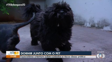 Especialista orienta sobre os riscos de dormir com pets