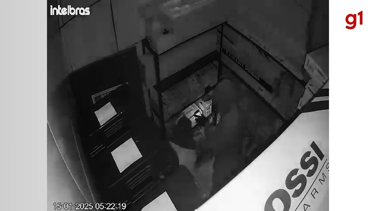 VÍDEO: Criminosos furtam loja de caça e pesca e levam mais de 30 armas de fogo e munições