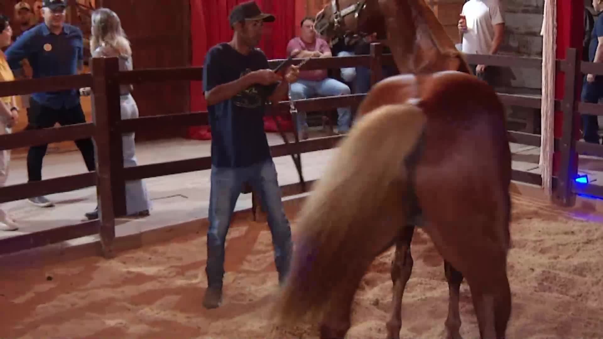 VÍDEOS: Inter TV Rural deste domingo, 28 de dezembro de 2025