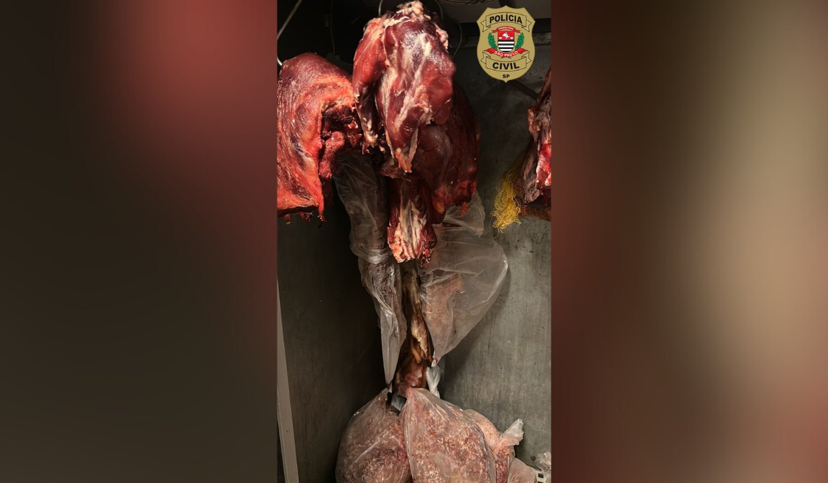 Comerciante é preso e carne imprópria para consumo é apreendida em açougue no interior de SP