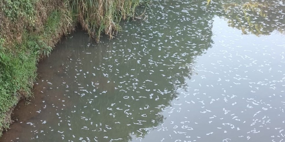 Sabesp afirmou que trabalho de reconstrução está previsto para a tarde desta quarta-feira (15) — Foto: Arquivo pessoal