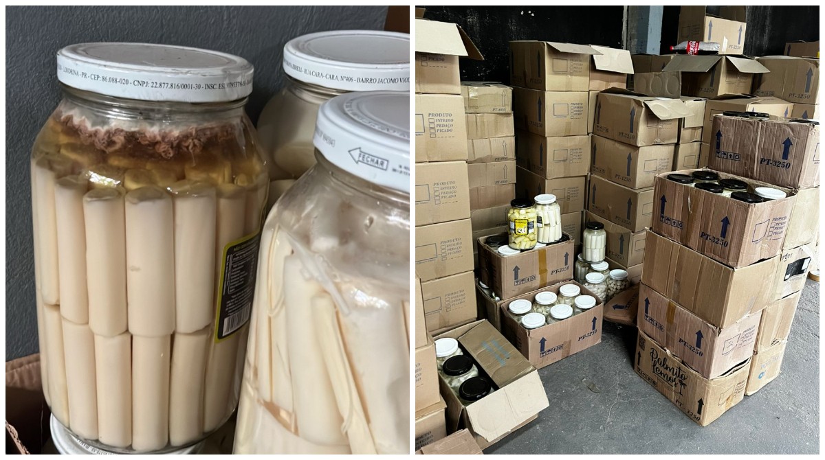 Operação mira grupo criminoso que faz extração ilegal de palmito juçara e envaza em fábricas clandestinas em SP