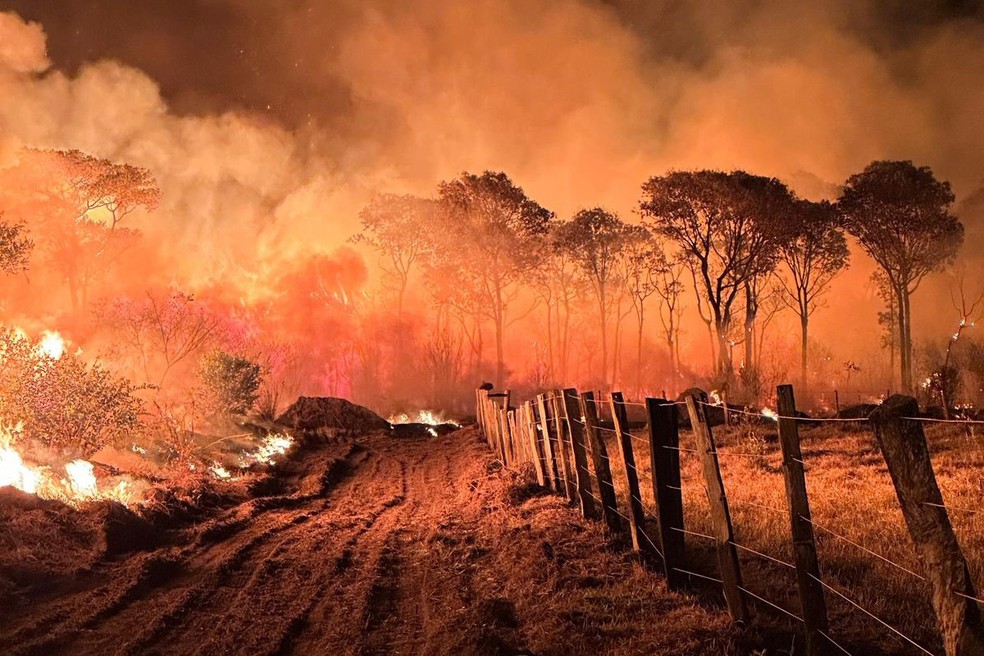 Fogo no Pantanal de Mato Grosso do Sul. — Foto: CPA-CBMMS / Mairinco de Pauda