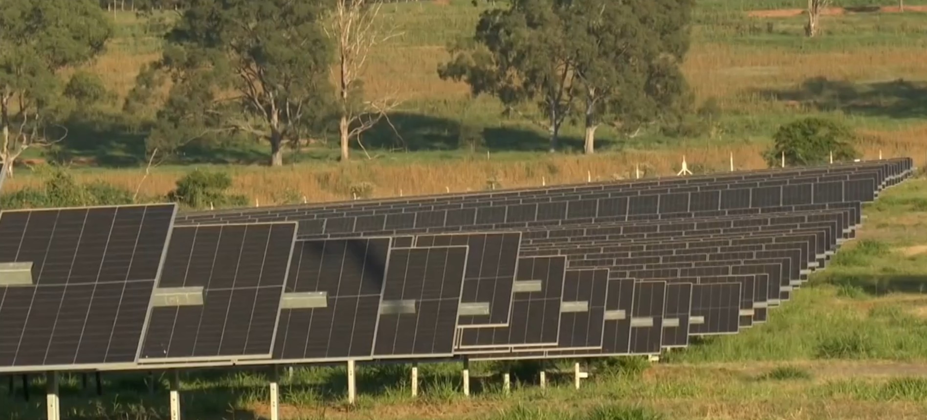 ‘Mais uma opção de renda’, diz produtor rural que trocou soja e gado por placas solares no Paraná
