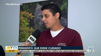Higienização e assistência médica: saiba o que fazer após mordida de cachorro