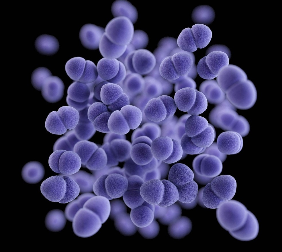 Imagem gerada por computador em 3D mostra aglomerado de bactéria Enterococcus resistente à vancomicina — Foto: James Archer/CDC