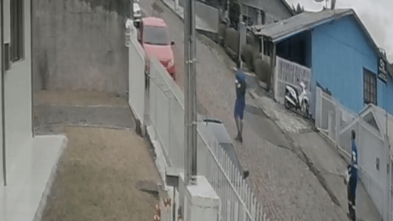 VÍDEO: comerciante ajuda dupla que ficou frente a frente com onça-parda em rua de SC: 'Entraram correndo'