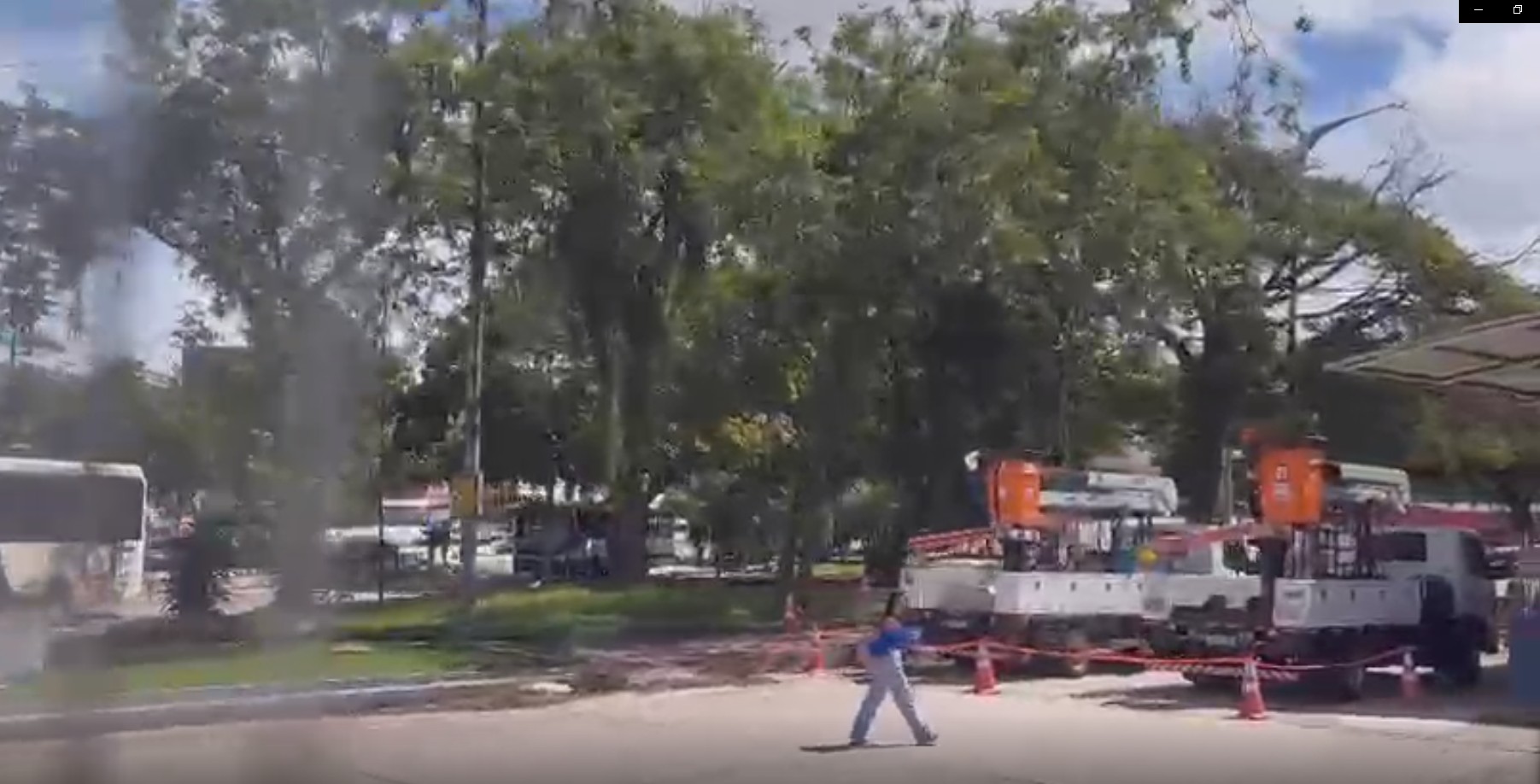 Árvore cai ao lado da estação BRT São Brás e complica trânsito de ônibus em Belém
