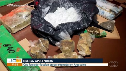 Cão farejador localiza drogas enterradas em residência