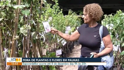Palmas recebe a 12ª edição da ExpoVerde