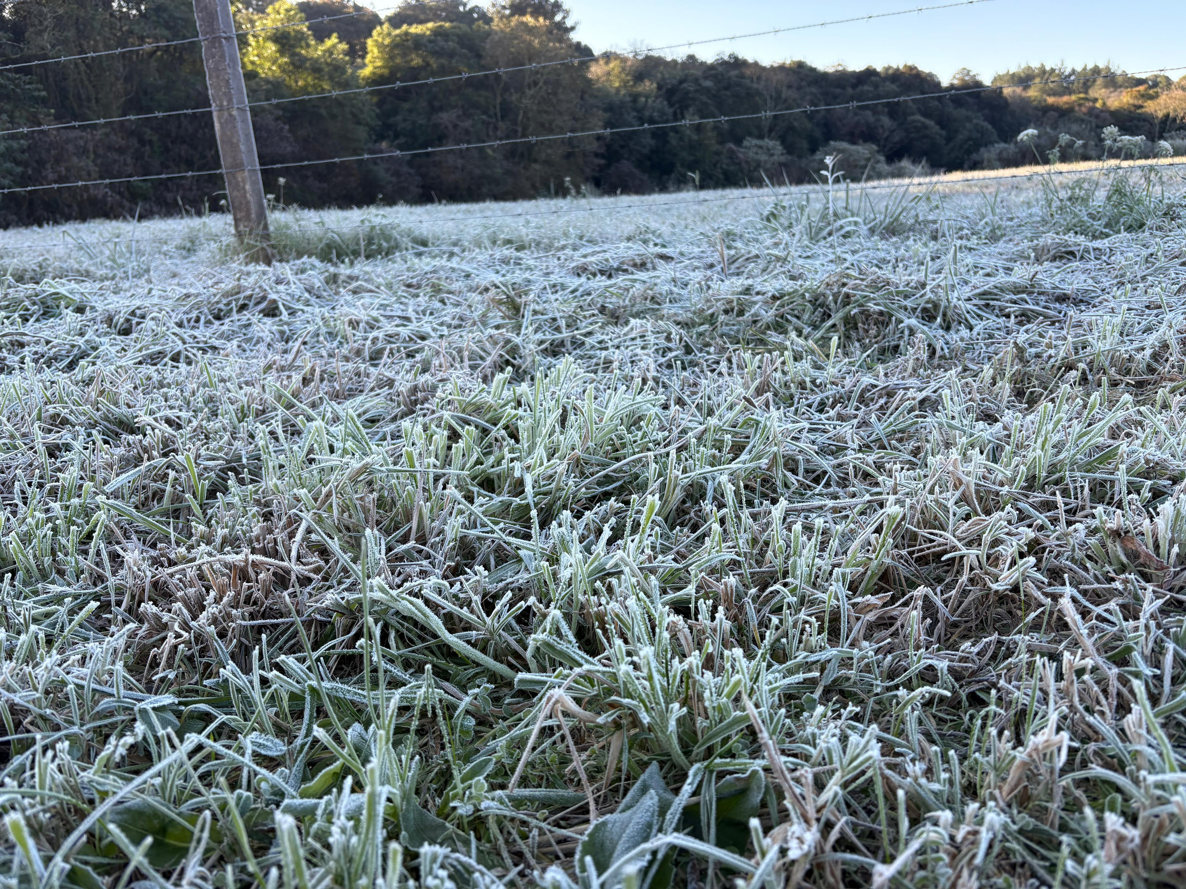 Frio domina o RS: 29 cidades registram temperaturas negativas nesta quarta-feira; veja a previsão do tempo