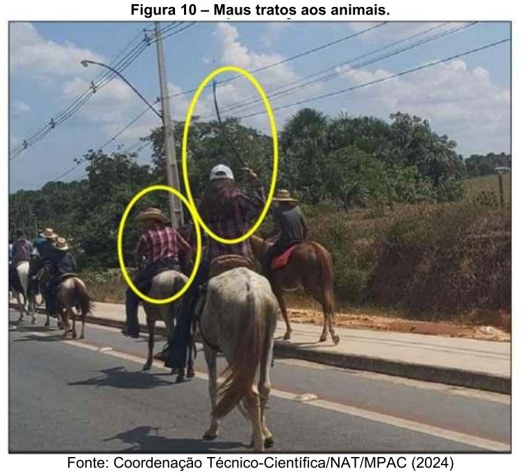 Ação civil pede indenização de R$ 400 mil de danos morais por maus-tratos de animais durante Cavalgada no Acre