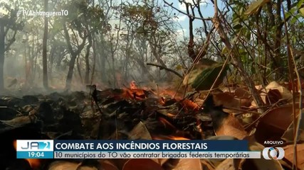 TO terá brigadas federais temporárias em dez municípios para enfrentar incêndios