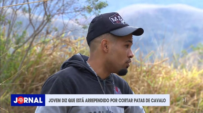 Jovem diz que está arrependido por cortar patas de cavalo