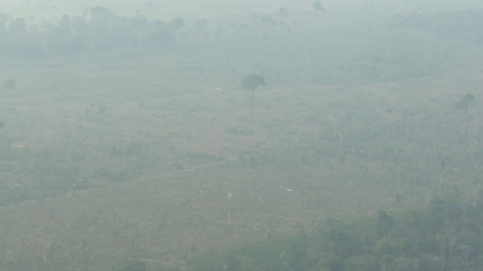 Fumaça na zona rural de Porto Velho nesta quarta-feira (12) — Foto: Reprodução/Rede Amazônica