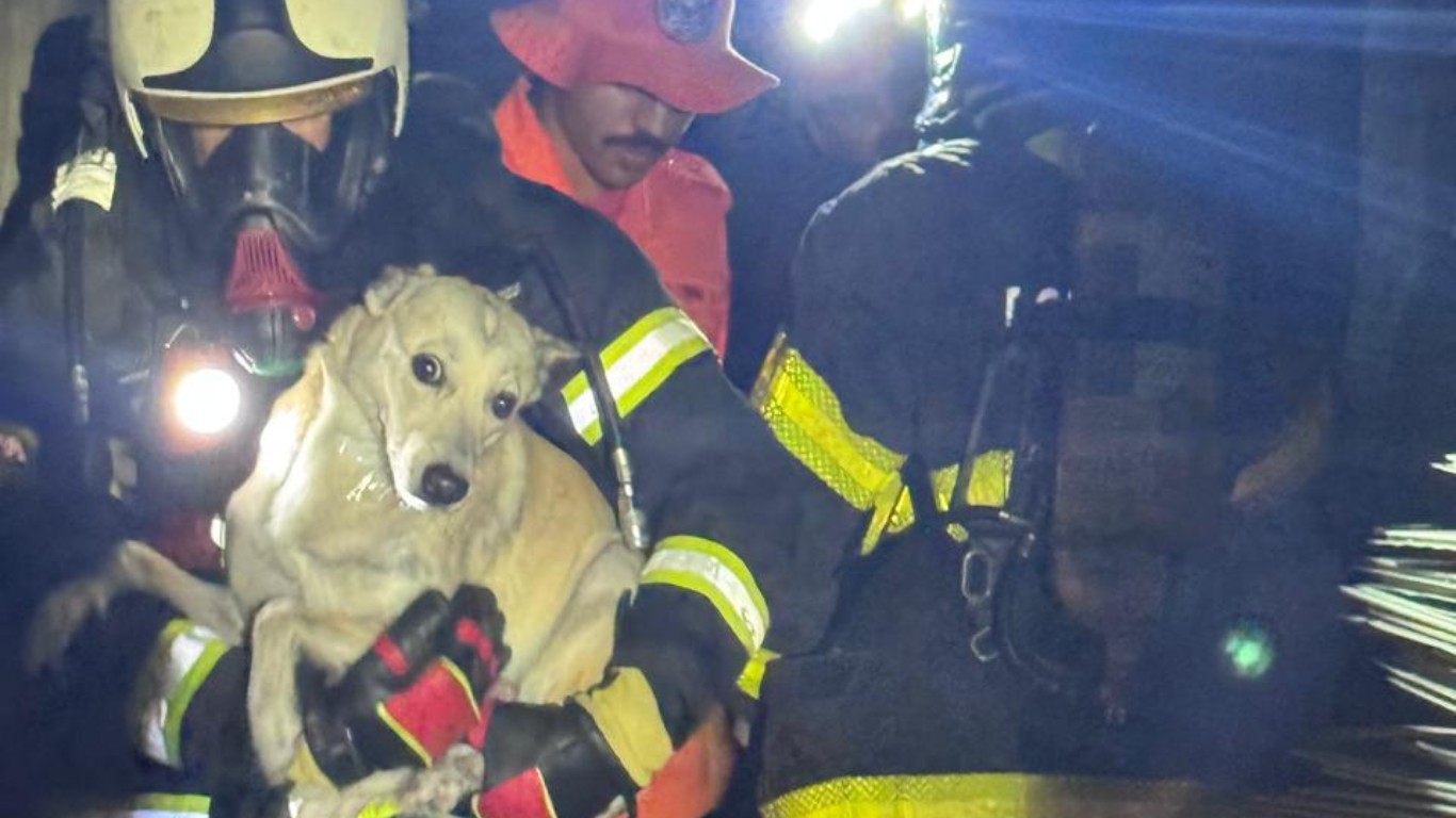Cachorro é resgatado de incêndio em casa de dois andares em Caruaru