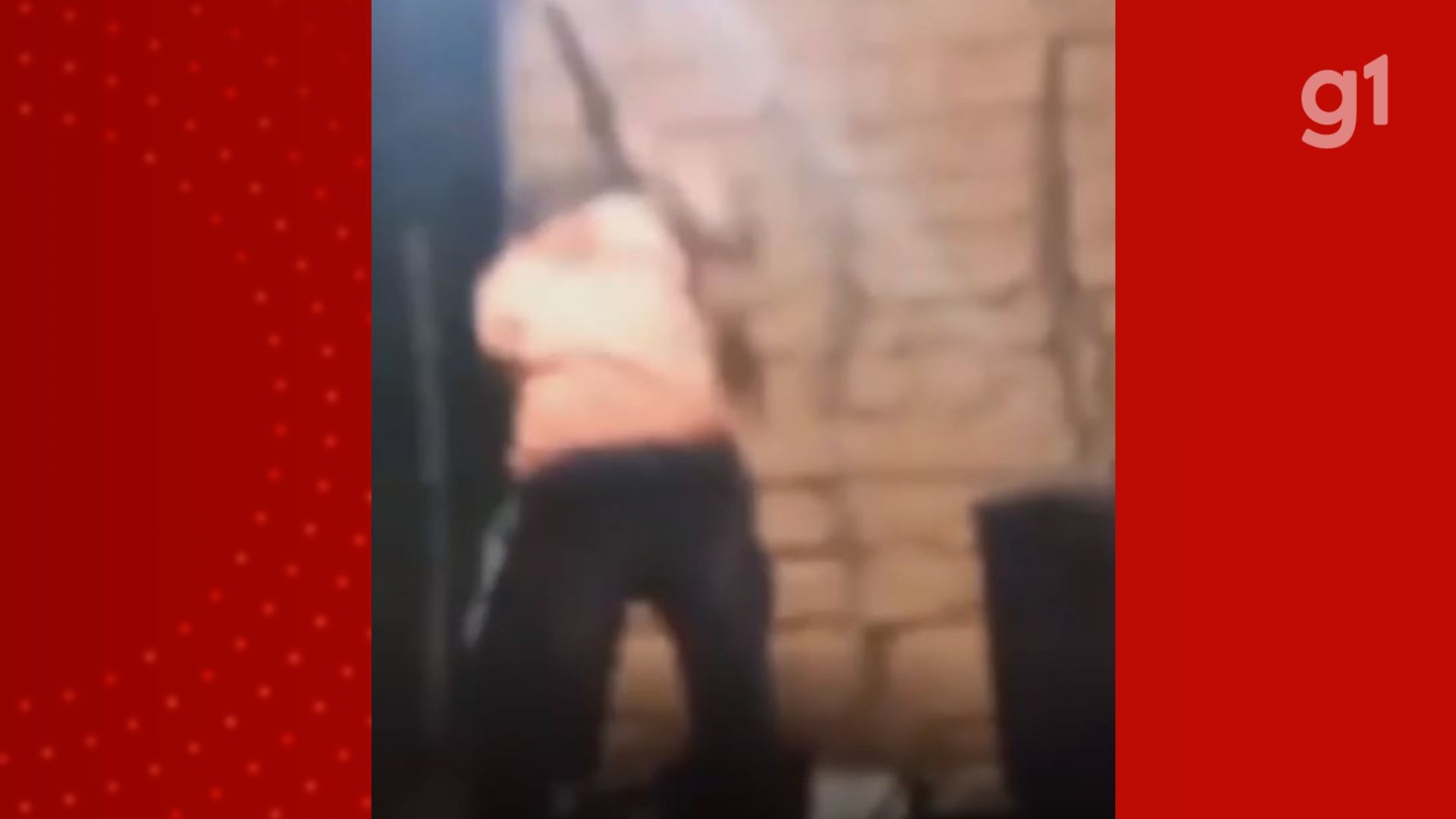 VÍDEO: Homem foge após espancar cachorro até a morte no MA