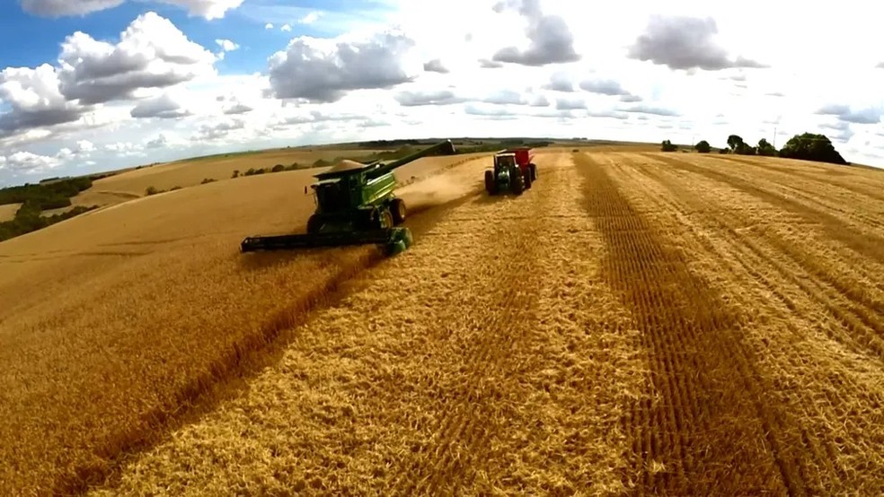 Lavoura de soja. — Foto: Reprodução/ TV Mirante