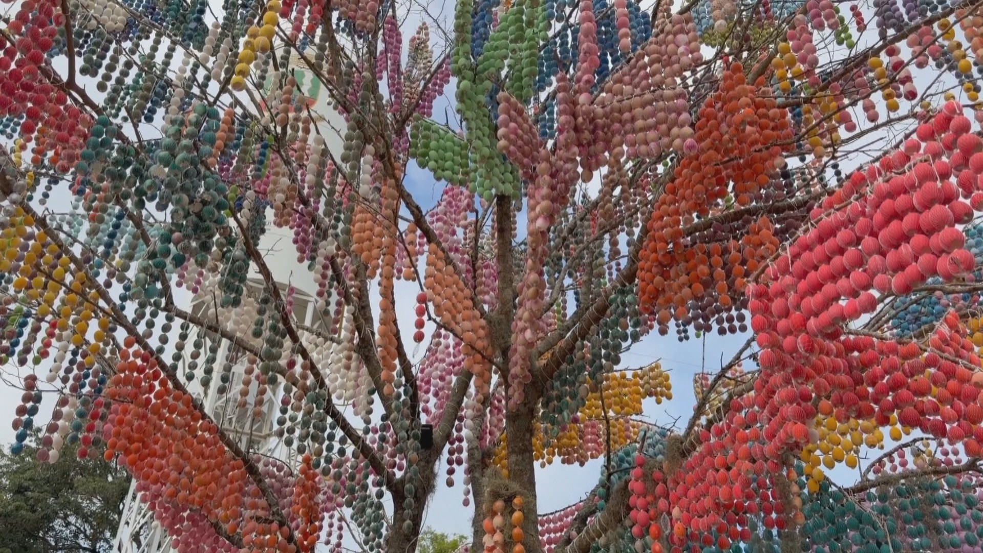 Sabe o que é 'Osterbaum'? Cidade do RS tem um dos maiores cartões-postais de Páscoa do Brasil