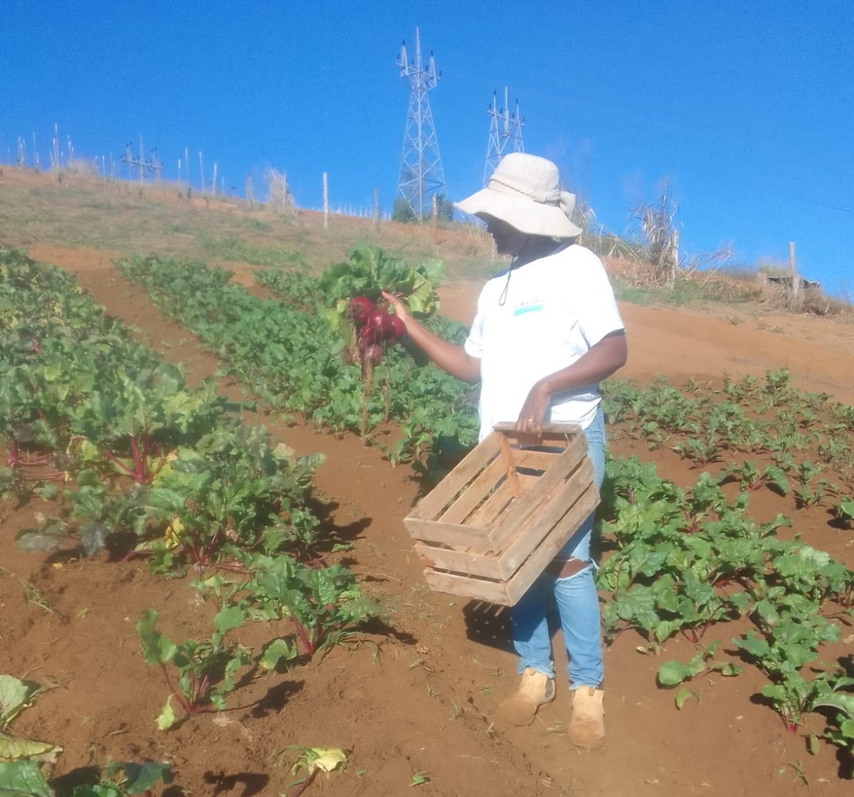 Italva e Cachoeiras de Macacu recebem encontros sobre agroecologia e agricultura familiar 