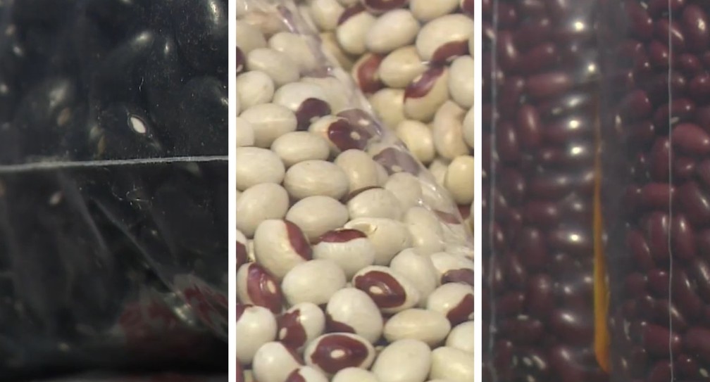 Feijão preto, branco e vermelho cultivados em Venda Nova do Imigrante, ES — Foto: Reprodução/TV Gazeta