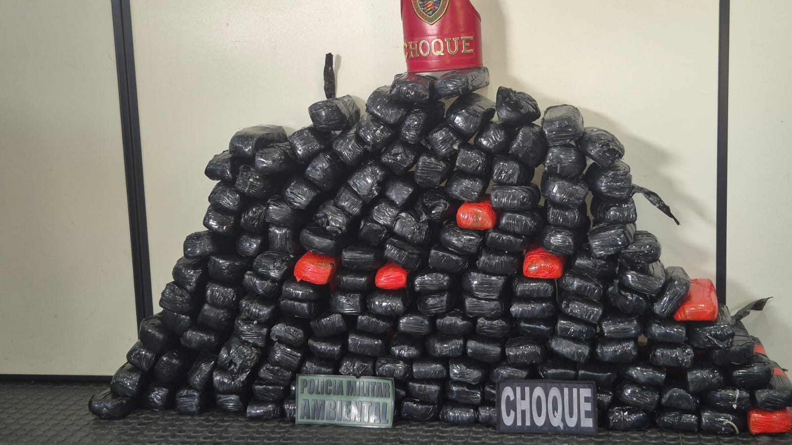 Cão farejador ajuda polícia a apreender 90 kg de pasta base de cocaína em embarcação no interior do Amazonas
