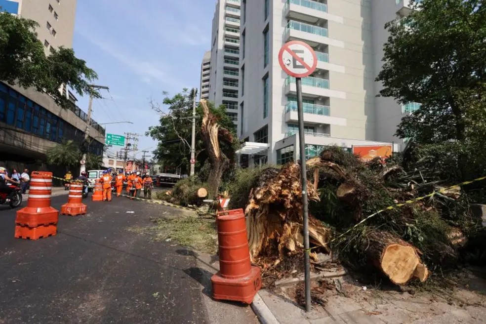 Rajadas de ventos que podem chegar a 120km/h são esperadas em algumas regiões do país, o que pode levar à queda de árvores e falta de energia. — Foto: GETTY IMAGES via BBC