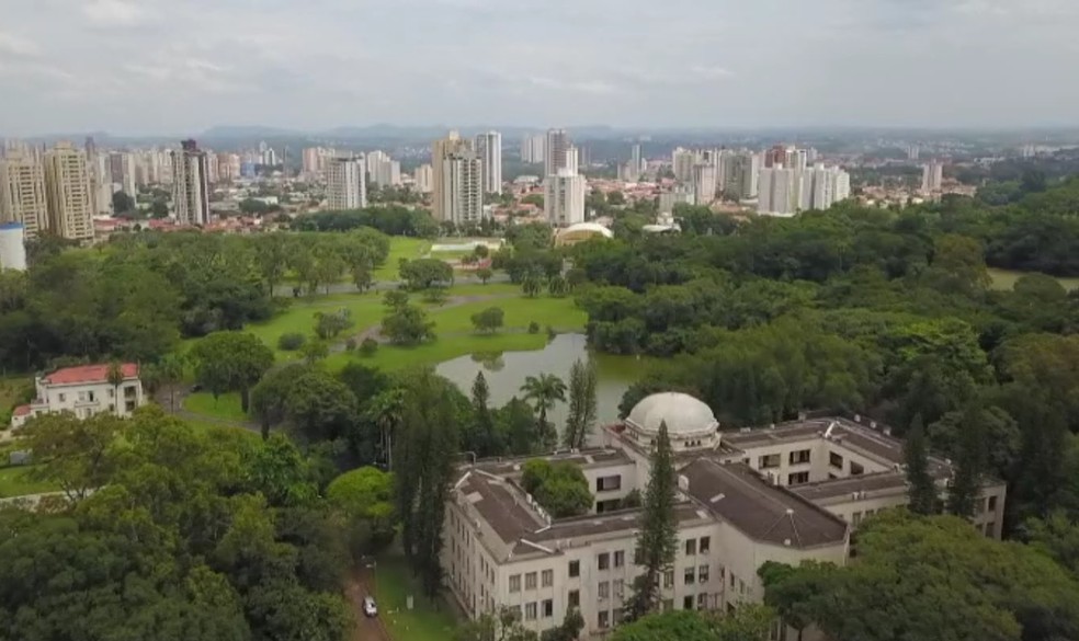Área arborizada no campus da Esalq, em Piracicaba — Foto: Carlos Alberto Coutinho