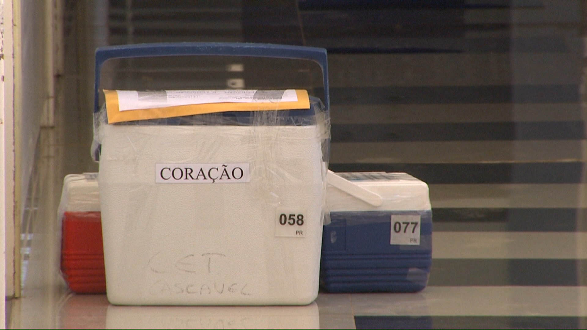 Doação de órgãos de adolescente que morreu em acidente salva até seis vidas: 'Fazer outras famílias felizes', diz pai 