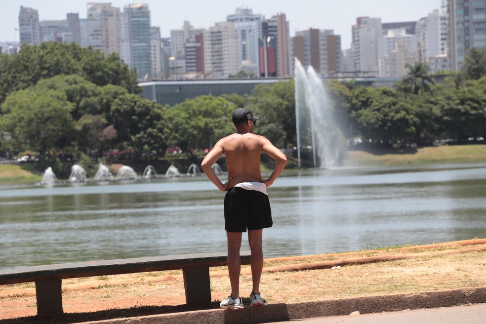 Movimentação no Parque Ibirapuera, Zona Sul de SP — Foto: RENATO S. CERQUEIRA/FUTURA PRESS/ESTADÃO CONTEÚDO