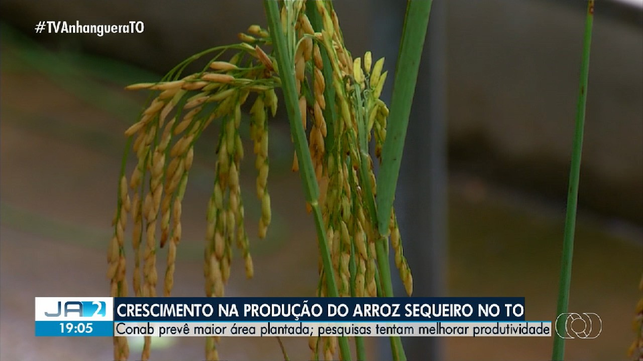 Você Não Tá Convidada pro Meu Bat Mitzvá!