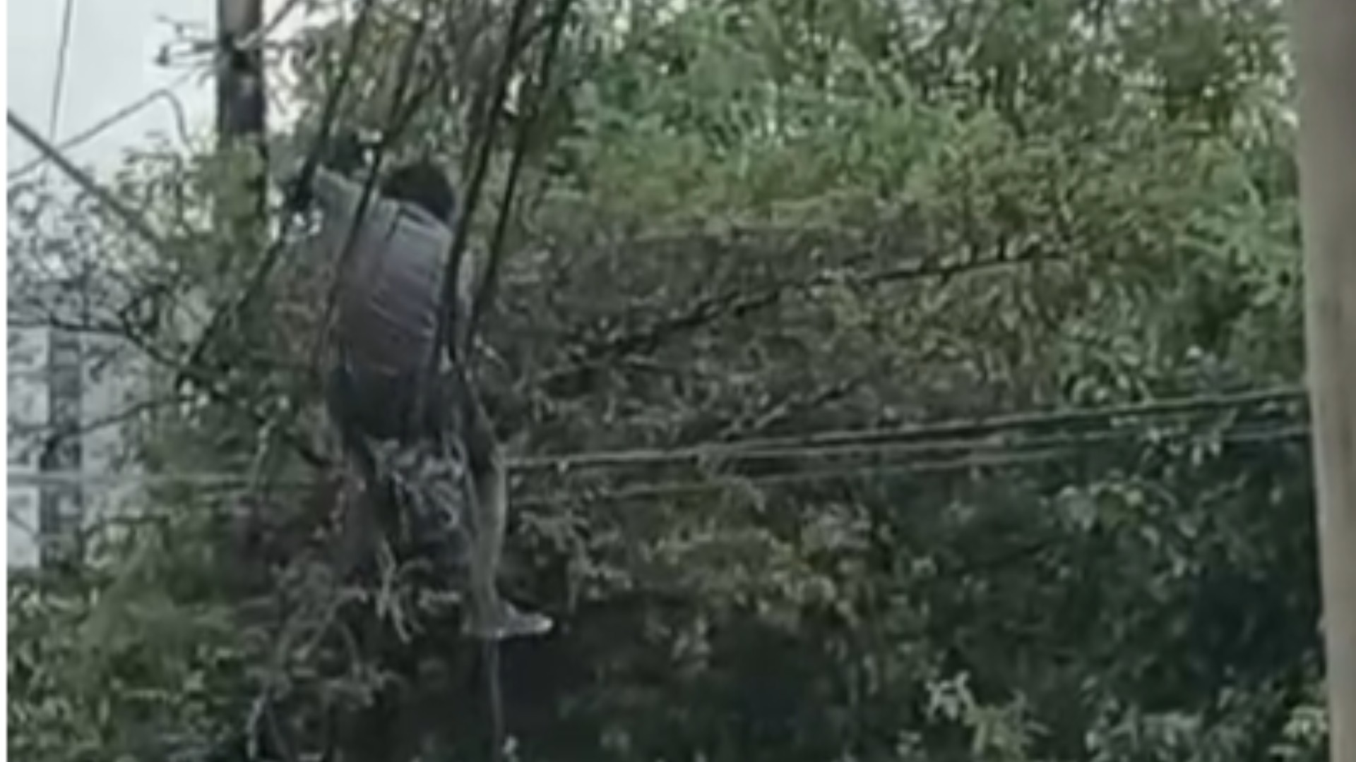 VÍDEO: homem se pendura em fiação para furtar cabos em bairro residencial de Sorocaba