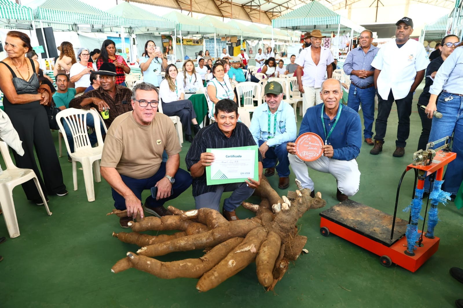 Pé de mandioca com 66,4 quilos vence concurso durante Expomontes, em MG