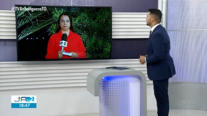 Propriedade de Lagoa da Confusão é condenada por desmatamento