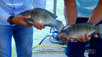 Semana do Pescado incentiva consumo de peixes no Tocantins