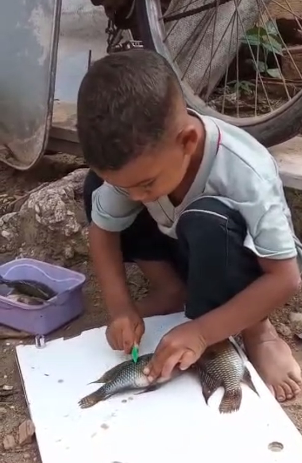 A cultura da pesca chegando às novas gerações em Itaperuna — Foto: Colônia de Pescadores Z-20