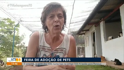 Feira de adoção de pets vai ser realizada neste sábado (16)