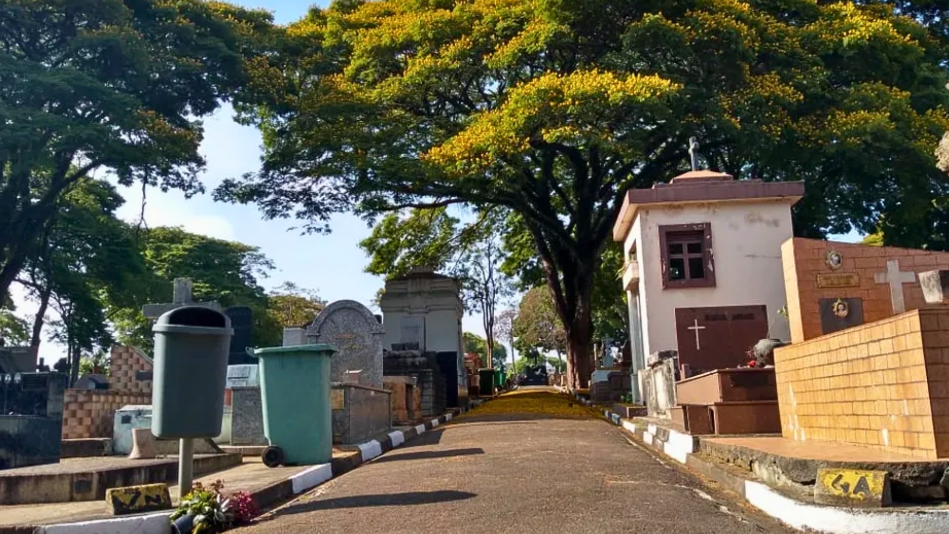 Você Não Tá Convidada pro Meu Bat Mitzvá!