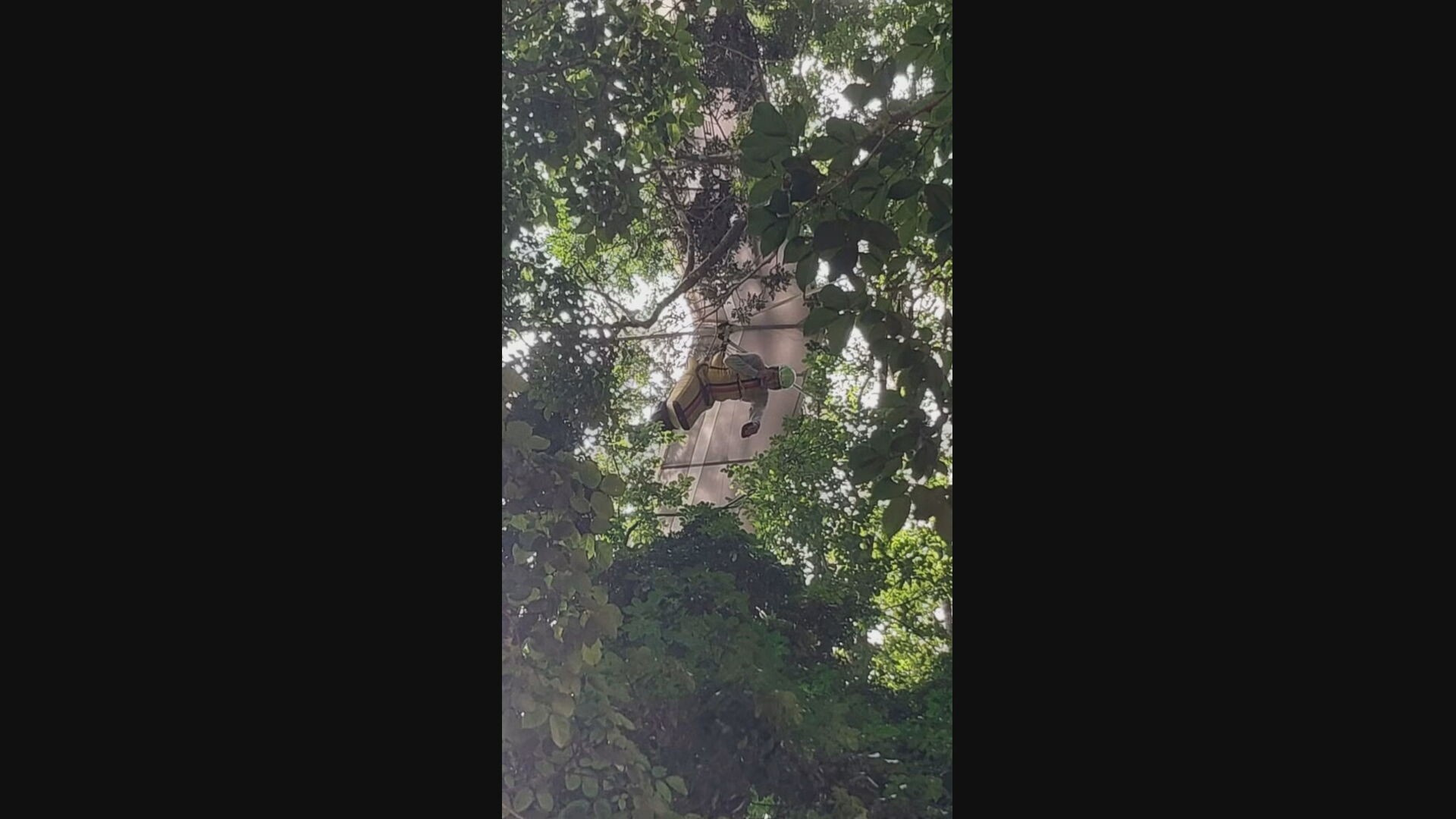 Asa-delta cai em árvore e piloto fica pendurado a 30 metros de altura no Jardim Botânico, Rio