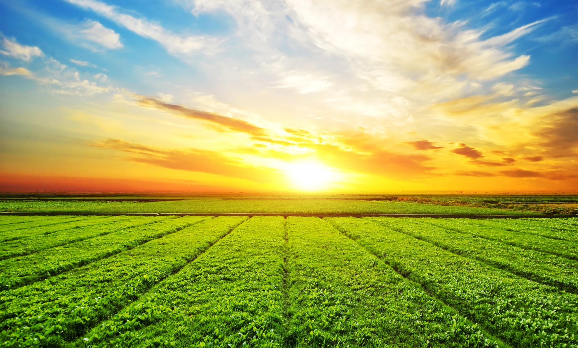 Riquezas da Terra: o agro catarinense fomenta a economia e transforma realidades