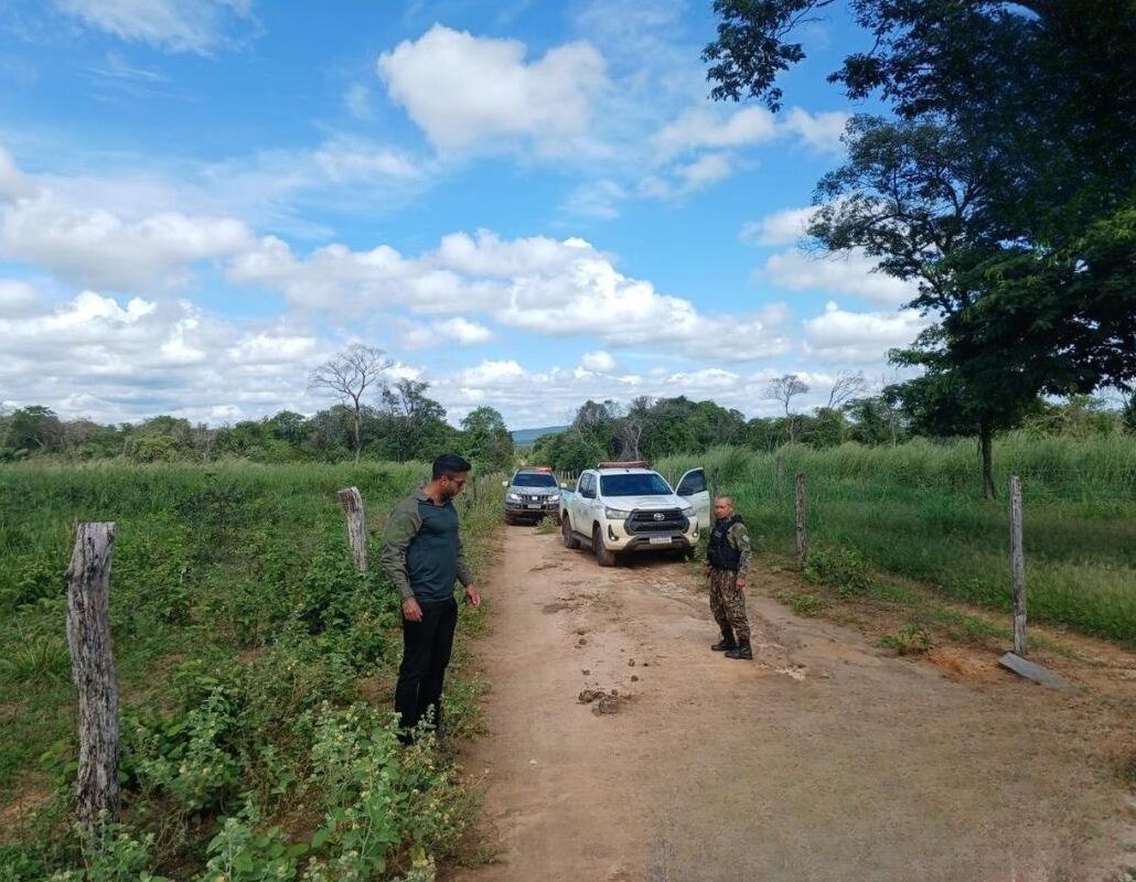 Cerca de R$ 550 mil em multas são aplicados em operação de combate ao desmatamento ilegal no PI