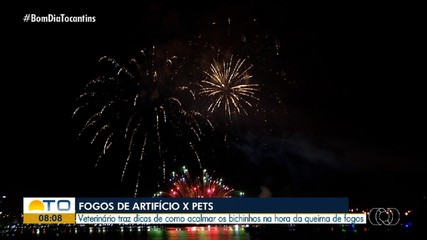 Veterinário dá dicas de como acalmar pets durante a queima de fogos