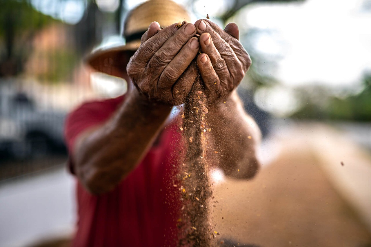 Todos os municípios do Amapá possuem assentamentos agrícolas familiares, mostra levantamento