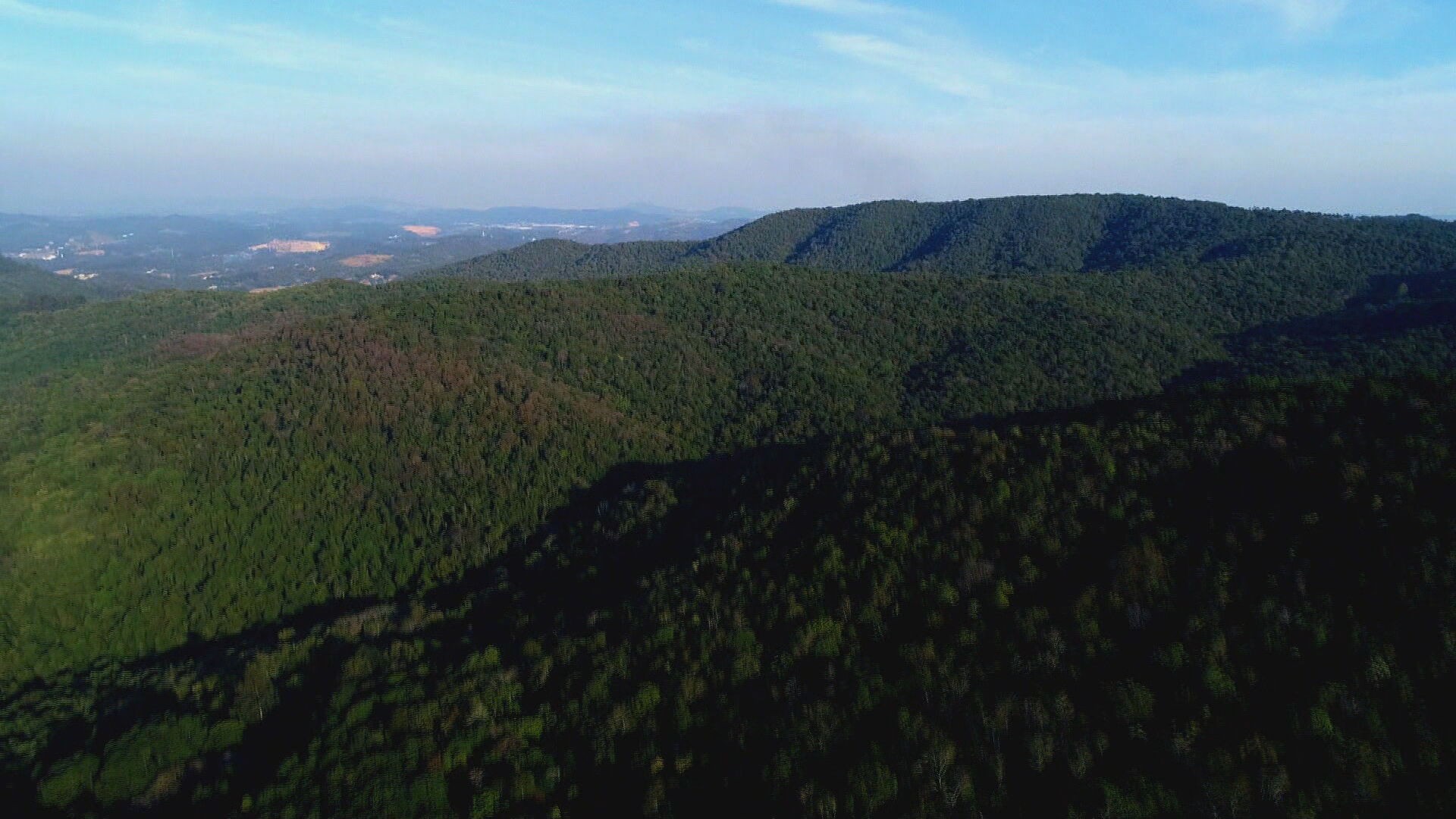 Jundiaí realiza Semana do Meio Ambiente com painéis informativos e passeio guiado pela Serra do Japi