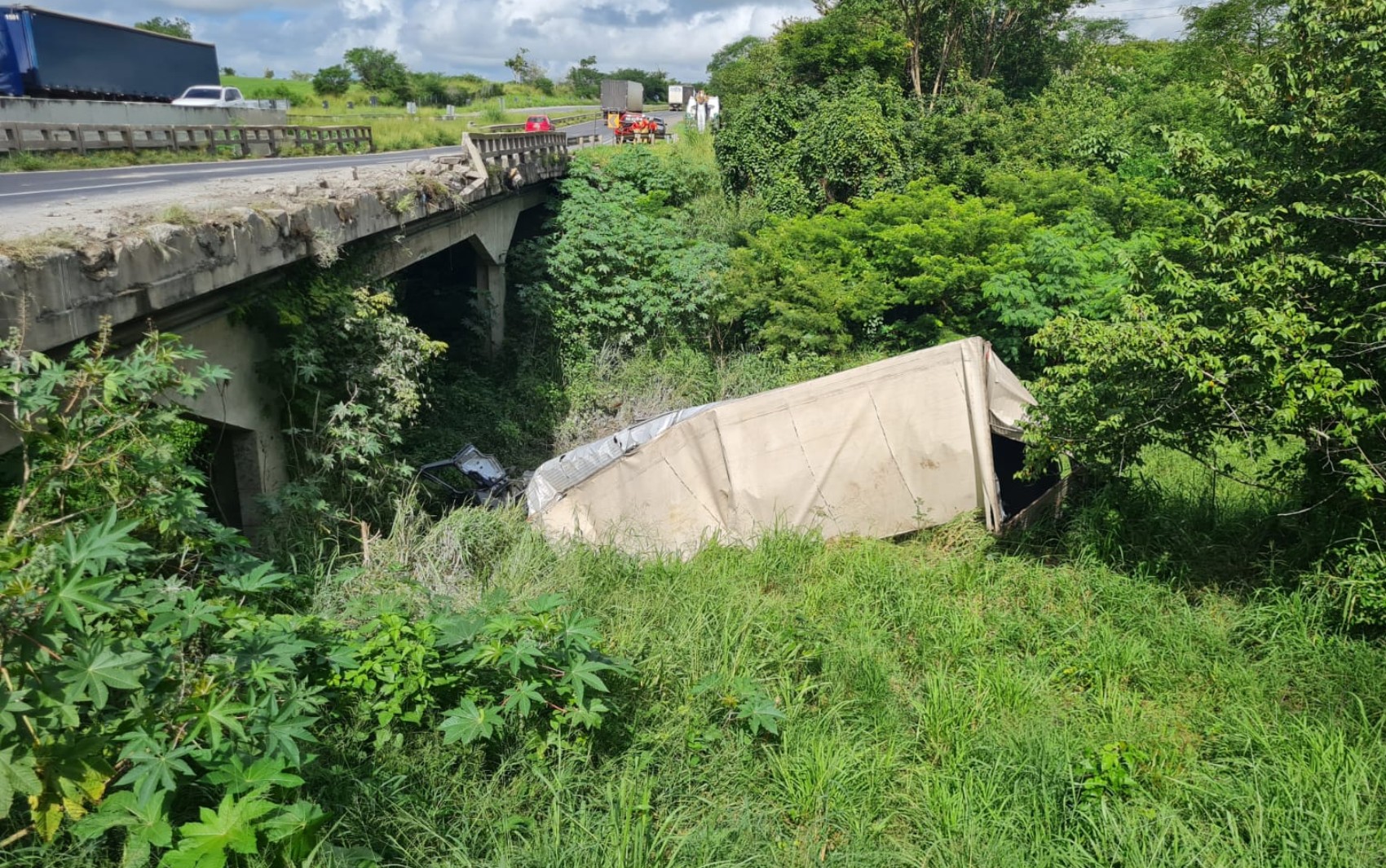 Motorista morre após caminhão cair de ponte na BR-116